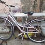 lady   bike for sale Image 2