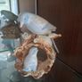 Ornaments ,Vintage Porcelain Figurine Collection Image 2