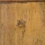 Vintage photography guillotine Image 4