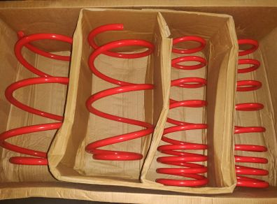Ford Focus 2011-2014 High Quality Lowering springs