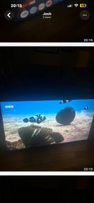 55inch monitor for sale