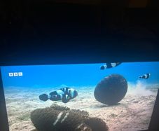 55inch monitor for sale