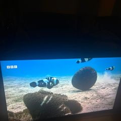 55inch monitor for sale
