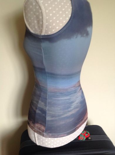 BNWOT 'Picture' Top Size S