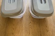 2 large lunch boxes