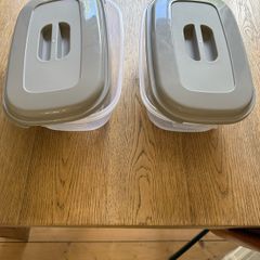 2 large lunch boxes