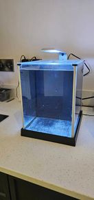 Fluval spec (Black)
