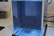 Fluval spec (Black)