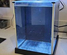 Fluval spec (Black)
