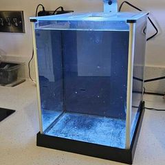 Fluval spec (Black)