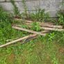 timber Image 4