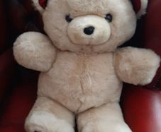 New large teddy tag attached