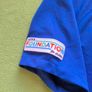 2022-23 Chelsea Champions League #19 Mount Home Jersey Size L Adults Image 7