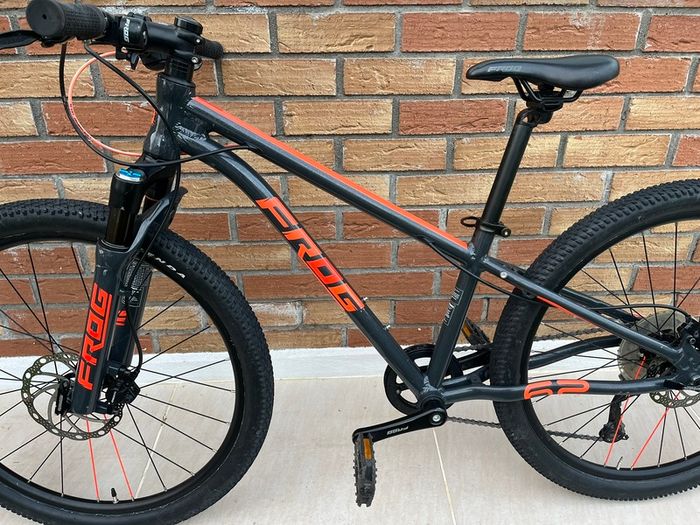 Frog Mountain Bike