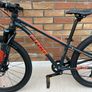 Frog Mountain Bike Image 9