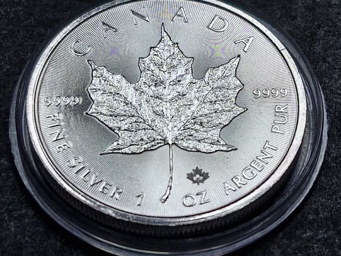 Canada 1 oz  Maple Leaf Silver 2020 Coin
