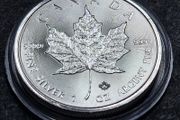 Canada 1 oz  Maple Leaf Silver 2020 Coin