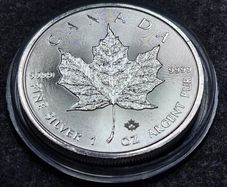 Canada 1 oz  Maple Leaf Silver 2020 Coin