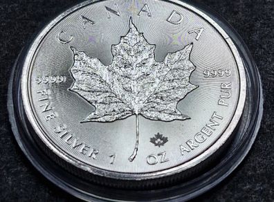 Canada 1 oz  Maple Leaf Silver 2020 Coin