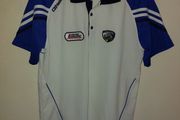 laois gaa polo