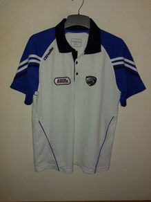 laois gaa polo