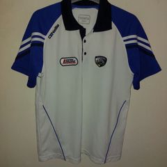 laois gaa polo