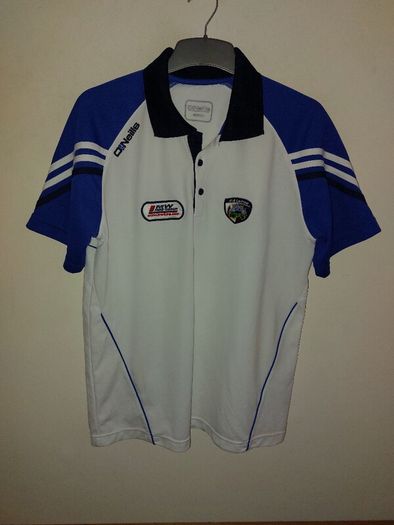 laois gaa polo