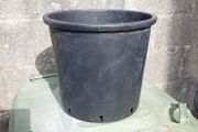 Plant pots reduced