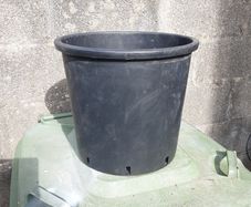 Plant pots reduced