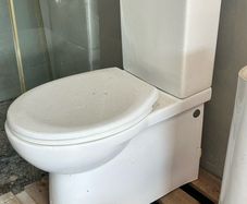 Dual flush toilet back to wall toilet
