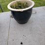 4 glazed plant pots Image 4