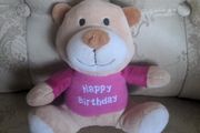 Happy Birthday Teddy