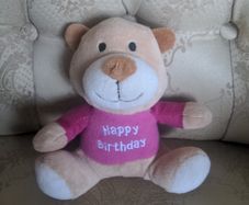 Happy Birthday Teddy
