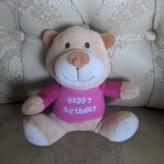 Happy Birthday Teddy
