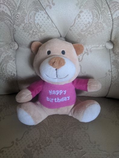 Happy Birthday Teddy