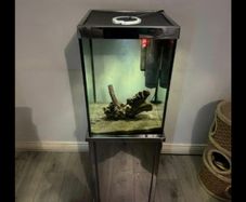 fish tank