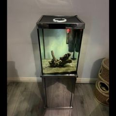 fish tank