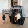 Pet Transport Dog Carrier IATA Image 3
