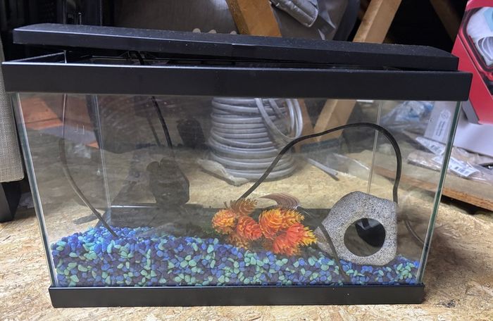 Fish tank