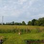 Rent  for hay or silage stil available Image 2