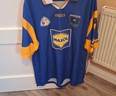 Vintage Wicklow 2003 Gaa Jersey Player Issued