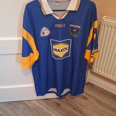 Vintage Wicklow 2003 Gaa Jersey Player Issued