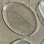 Selection of Vintage Glass Serving Plates, from euro 10, Arcoroc, Pasabahce Image 4