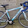 adult Bike Image 3