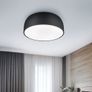 Trio Lighting Baron Ceiling Mounted Light Fixture Image 3