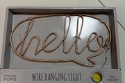 Wire hanging light