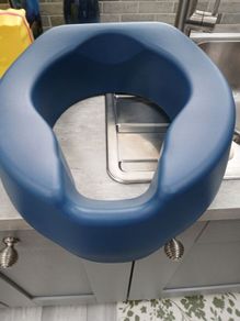 raised toilet seat