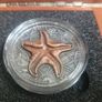 2 dollar's silver coin Starfish from the world of fossils Image 7