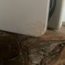Ps5 Image 7