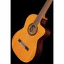 Takamine GC5CE Natur Image 3